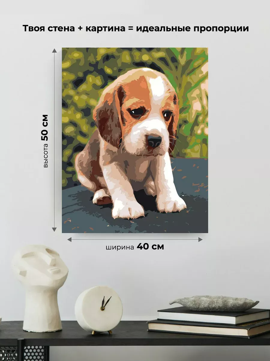 Картина по номерам «Собаки: пёс бигль, домашние животные» — картинка 3