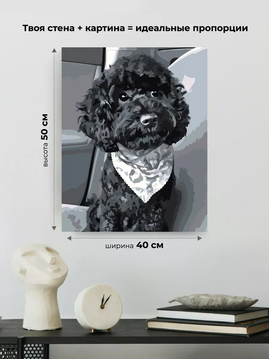 Картина по номерам «Собаки: черный той пудель в машине, чб» — картинка 3
