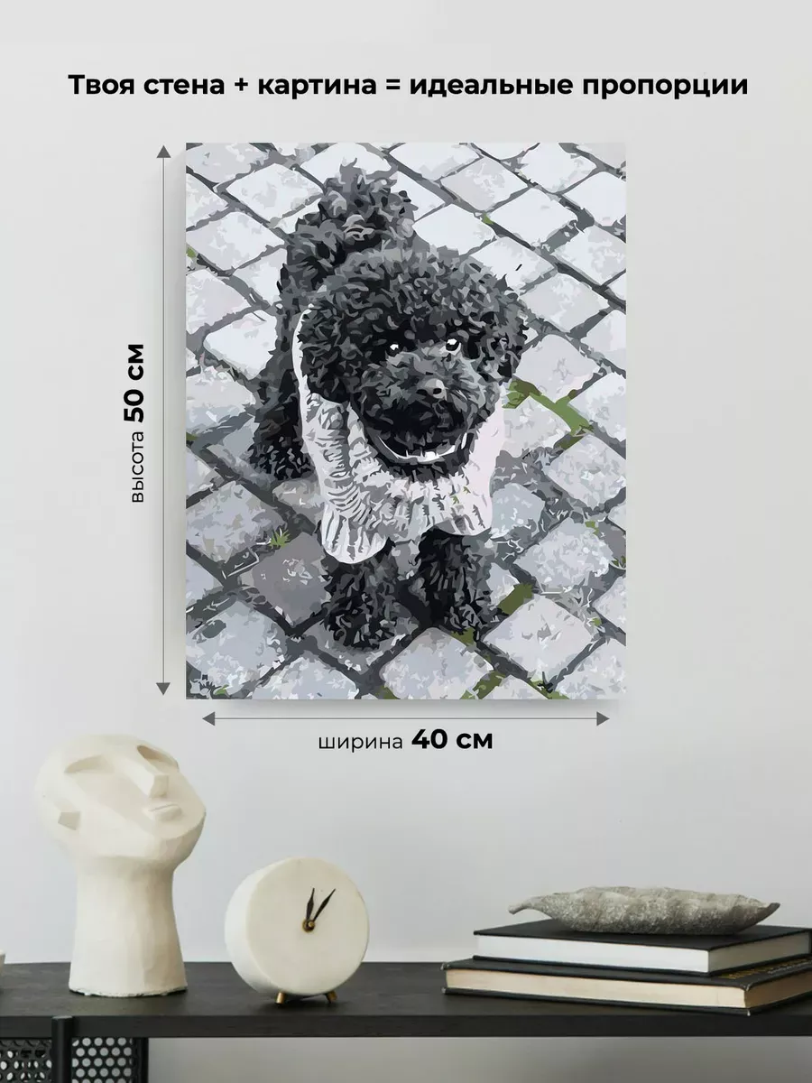 Картина по номерам «Собаки: черный той пудель на улице, чб» — картинка 3