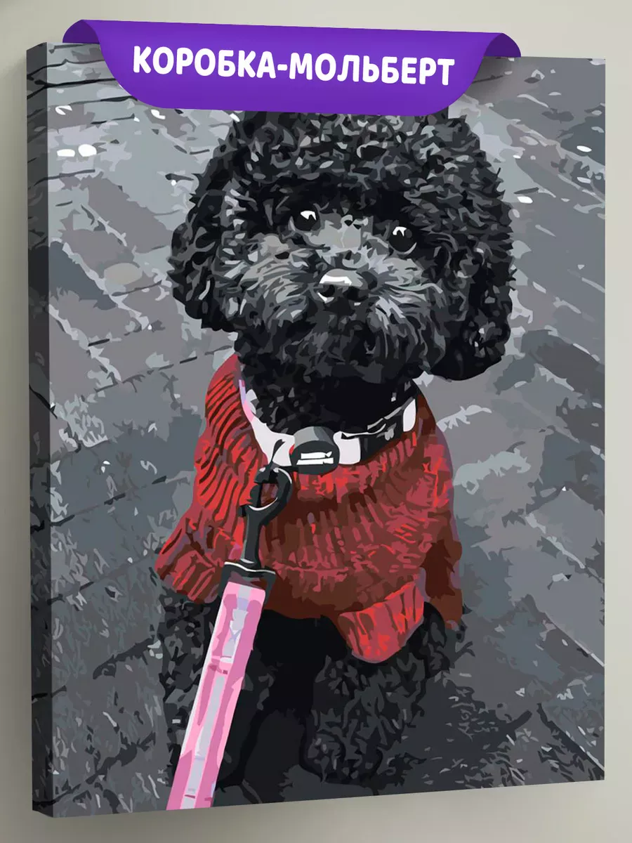 Картина по номерам «Собаки: черный той пудель на улице, чб»