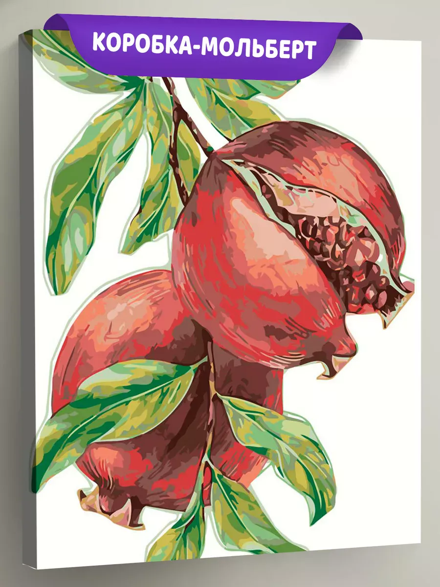 Картина по номерам «Спелые гранаты на ветке, минимализм арт»