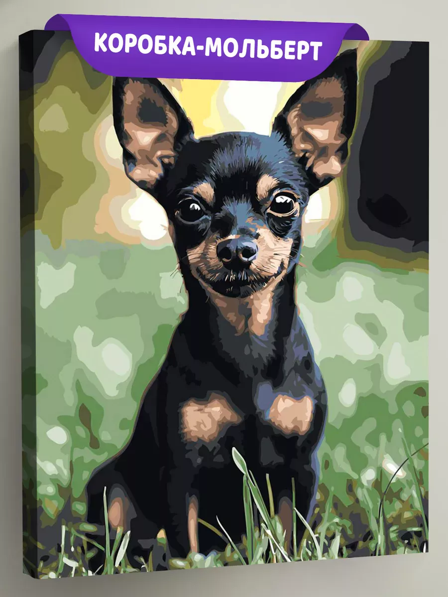 Картина по номерам «Собаки: черный той терьер на прогулке»