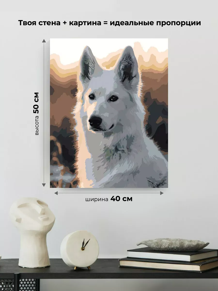 Картина по номерам «Собаки: белая швейцарская овчарка» — картинка 3