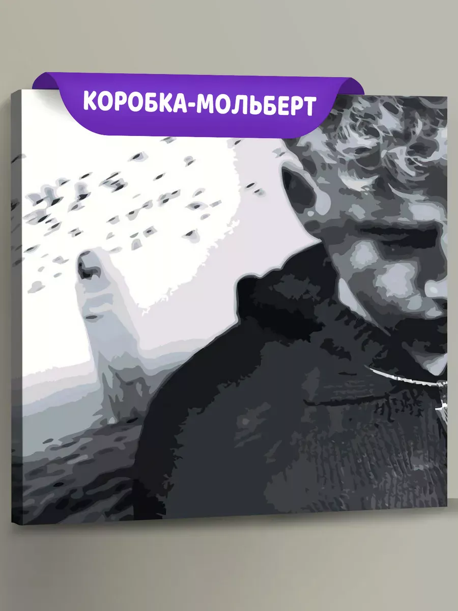 Картина по номерам «Поп-рок музыкант 13 тринадцать карат Саша»