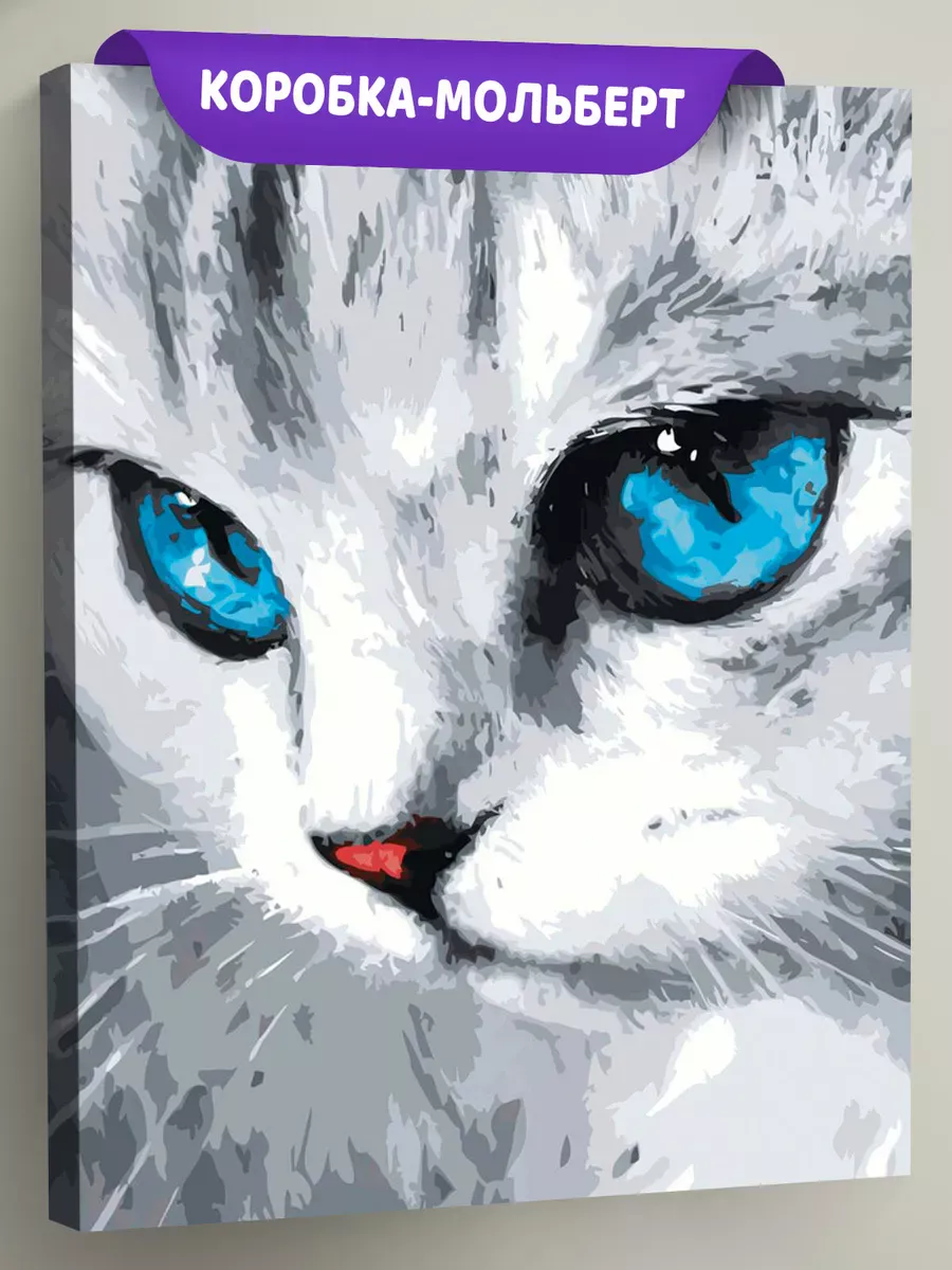 Картина по номерам «Кошки: серый котенок с голубыми глазами»