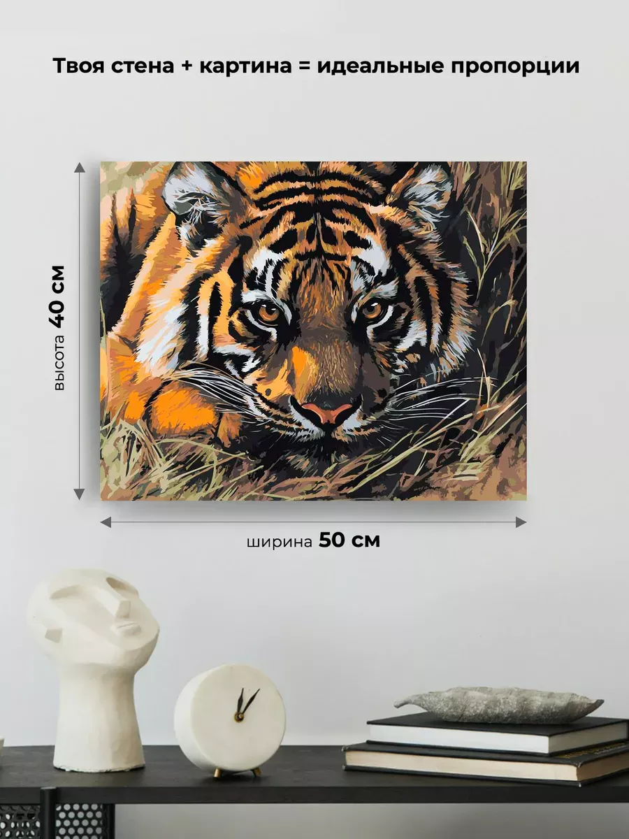 Картина по номерам «Животные: тигр прячется в траве, природа» — картинка 3