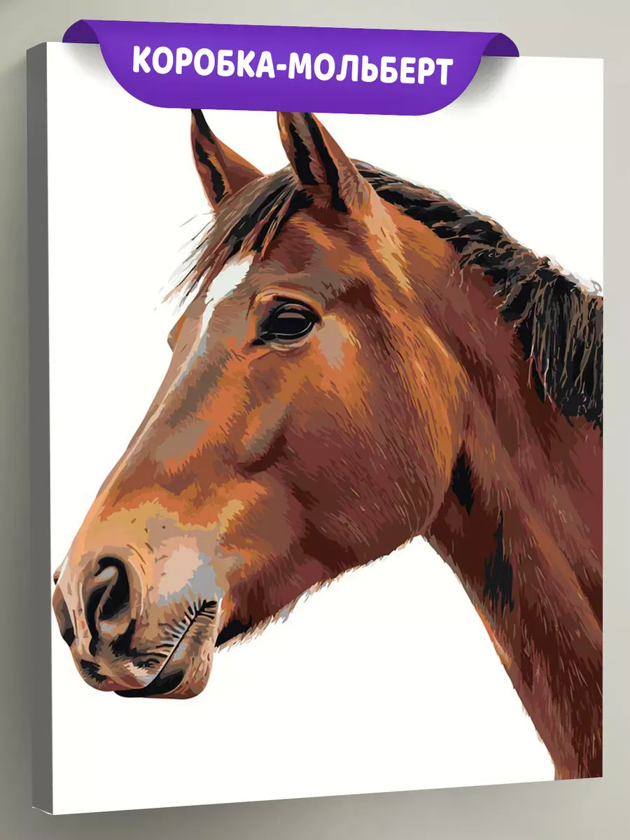Картина по номерам «Животные: конь на белом фоне, портрет»