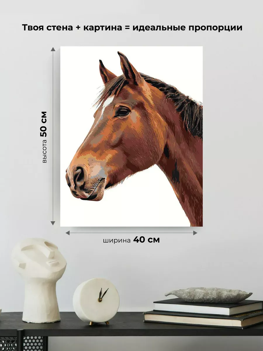 Картина по номерам «Животные: конь на белом фоне, портрет» — картинка 3