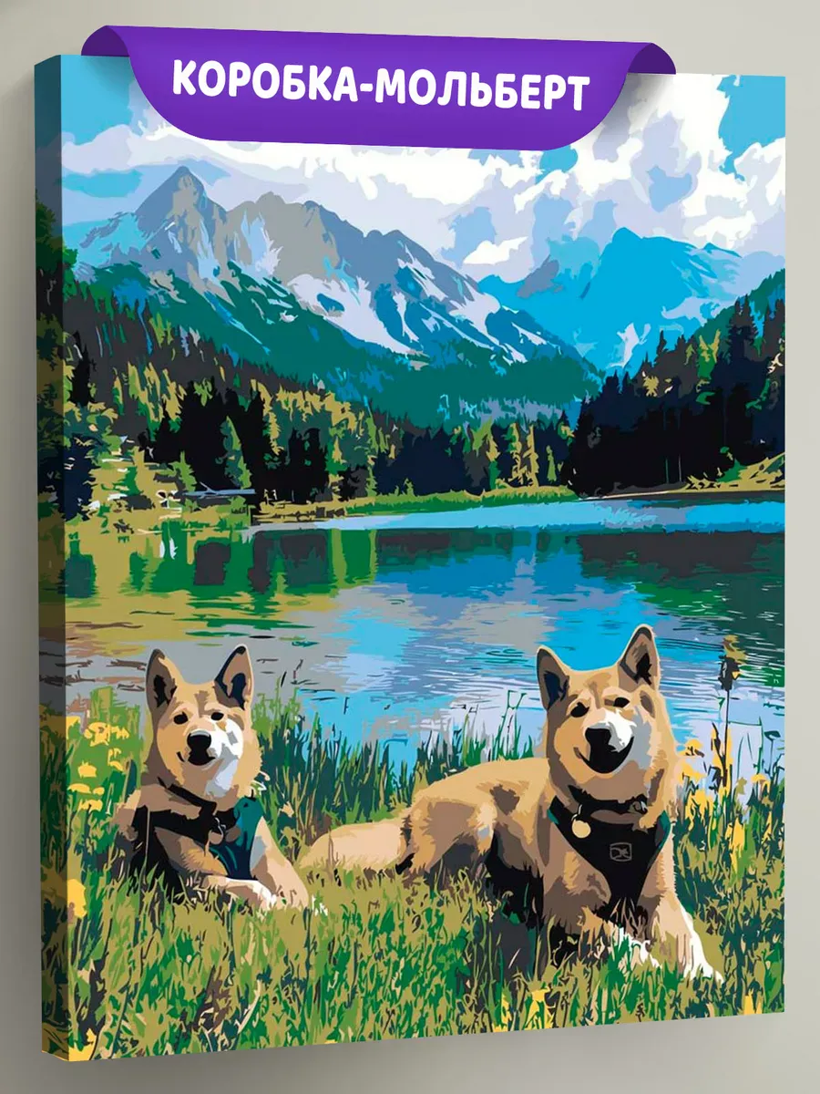 Картина по номерам «Собаки: актиа-ину и озеро в лесу, горы»
