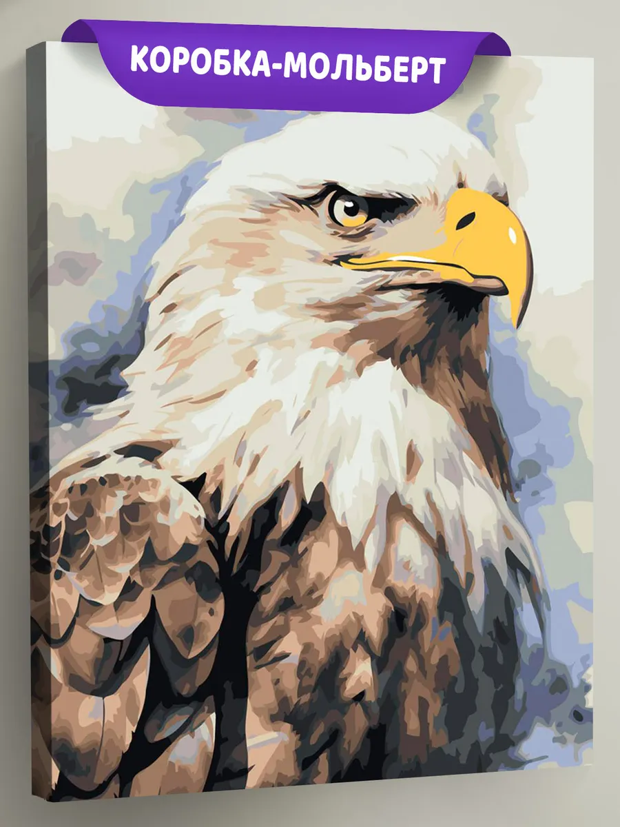 Картина по номерам «Животные: птица белоголовый орел арт»