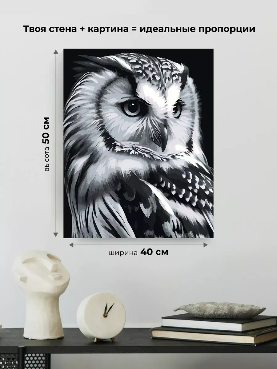 Картина по номерам «Животные: мудрая птица сова, чб портрет» — картинка 3