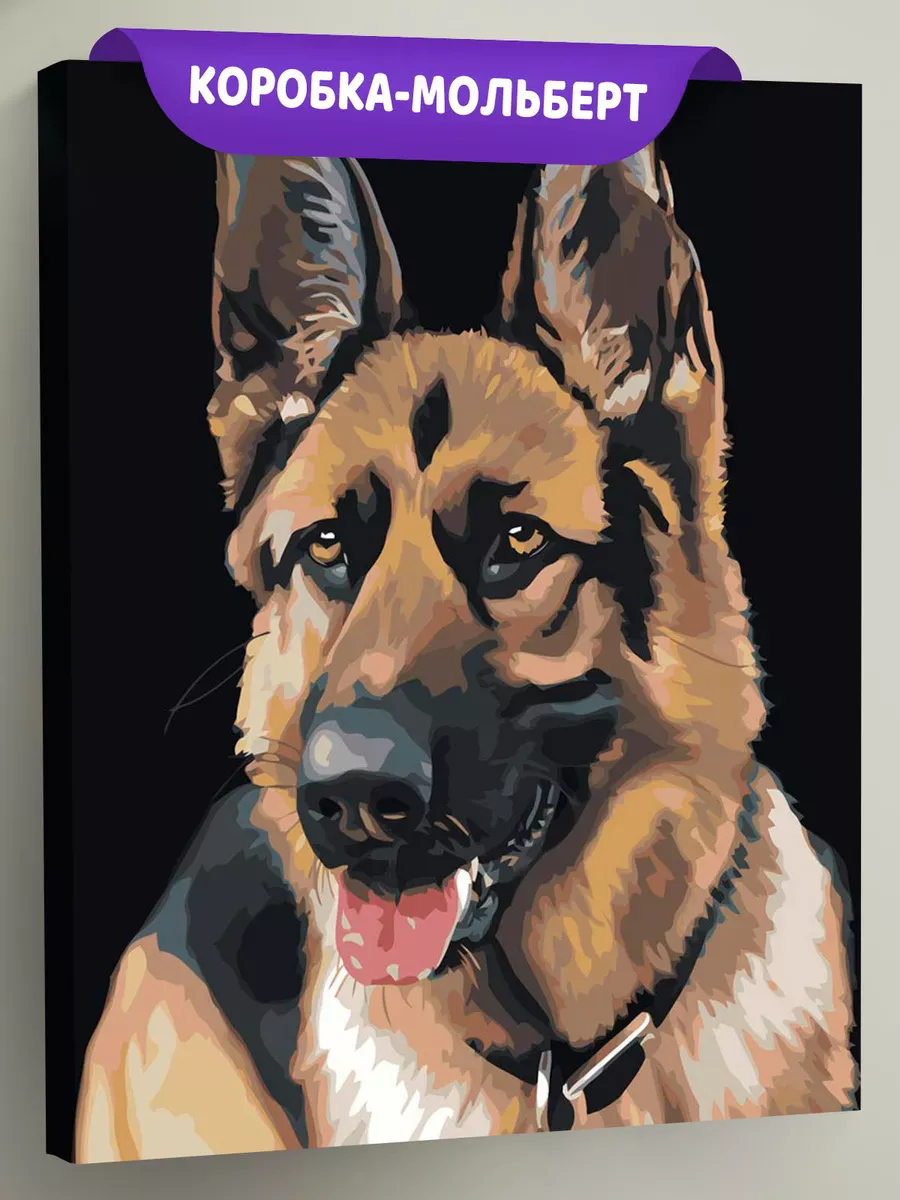 Картина по номерам «Собаки: Немецкая овчарка портрет»