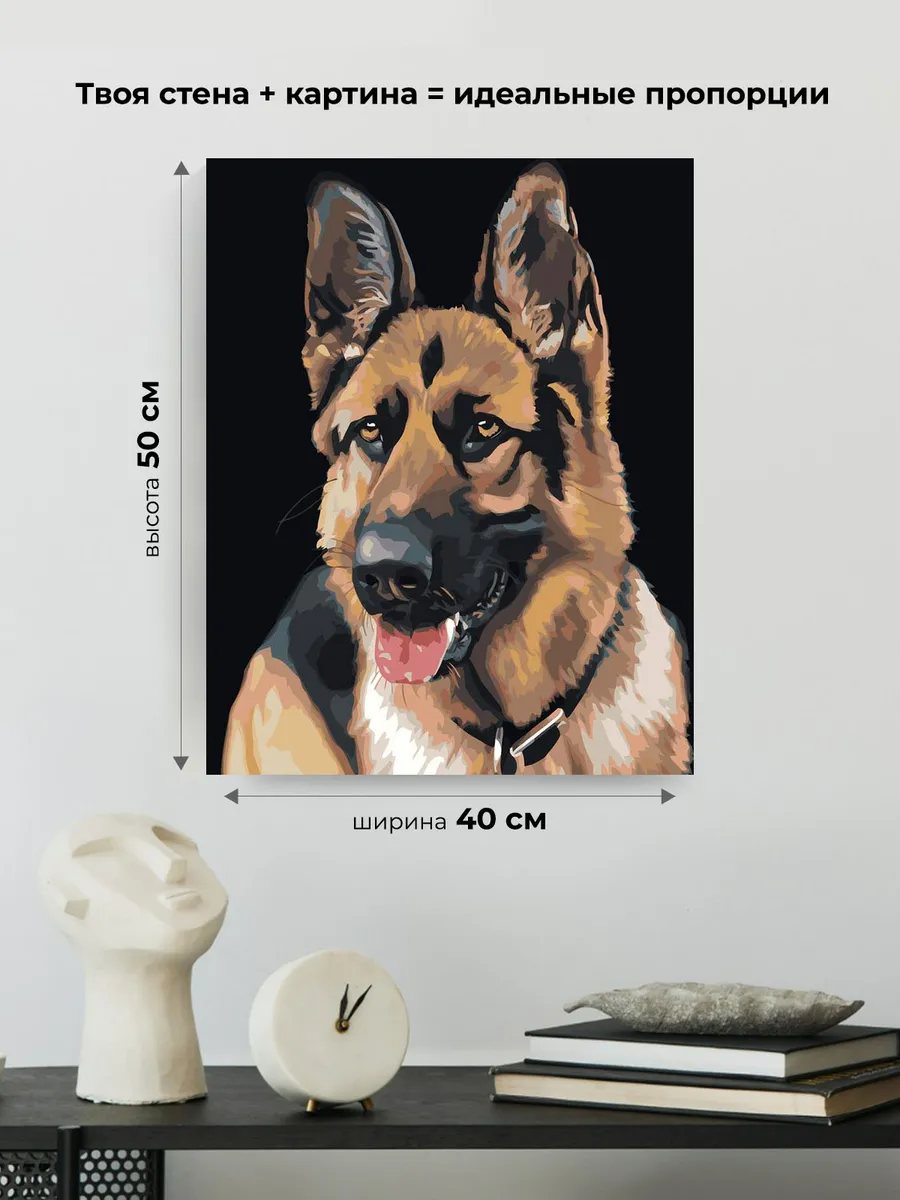 Картина по номерам «Собаки: Немецкая овчарка портрет» — картинка 3