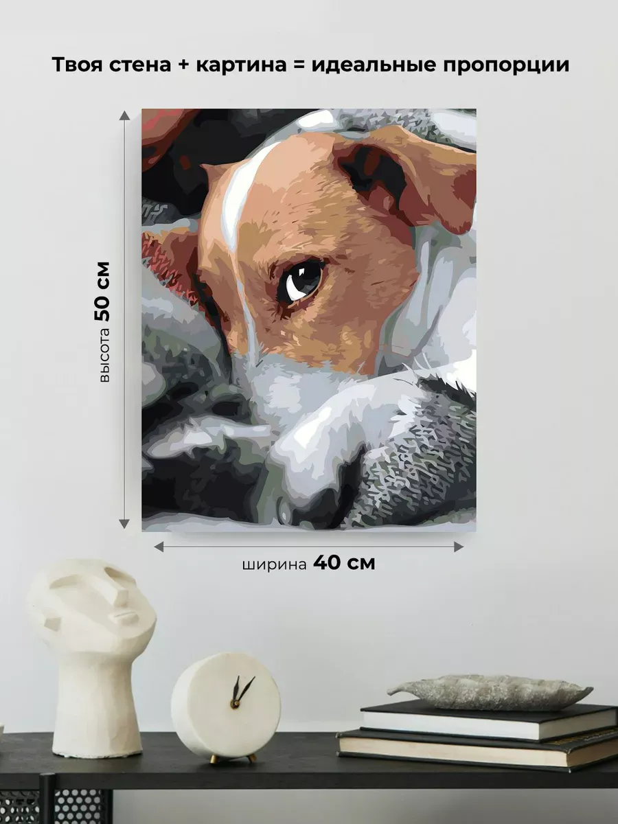 Картина по номерам «Собаки: Джек рассел терьер в пледе» — картинка 3