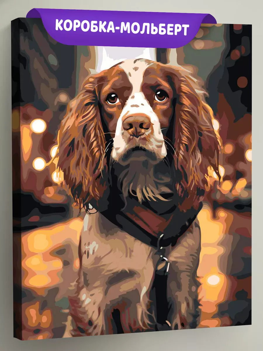 Картина по номерам «Собаки: Английский спрингер спаниель»