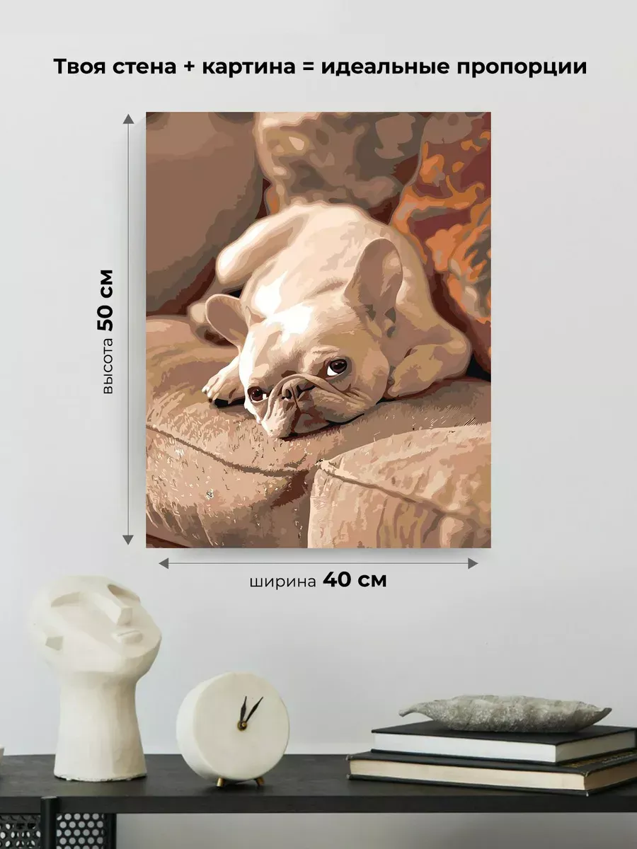 Картина по номерам Собака милый французский бульдог — картинка 3