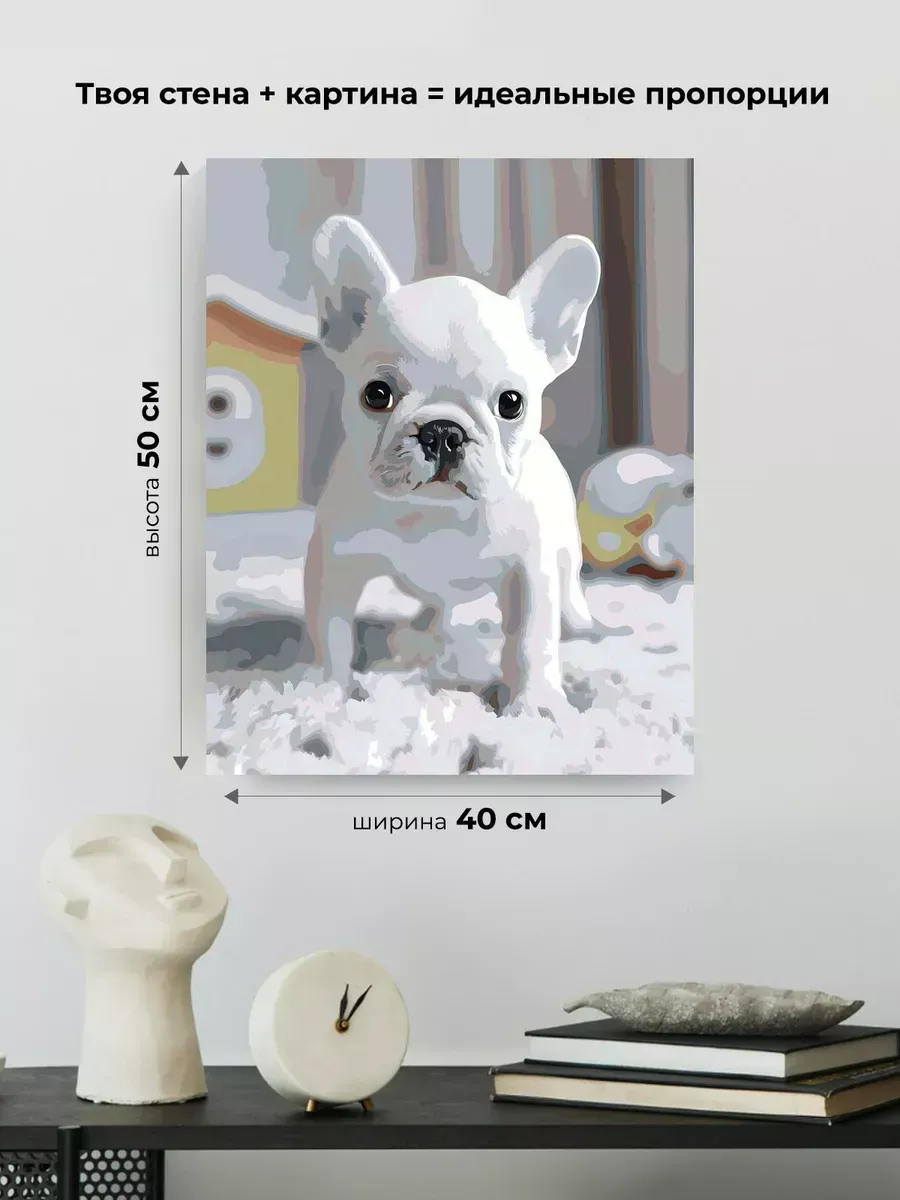 Картина по номерам Собака милый французский бульдог щенок — картинка 3