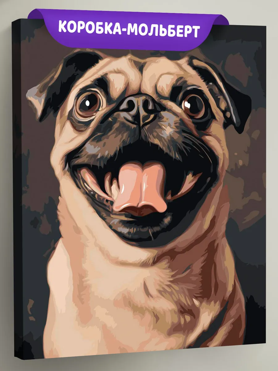 Картина по номерам Собака мопс крупным планом арт