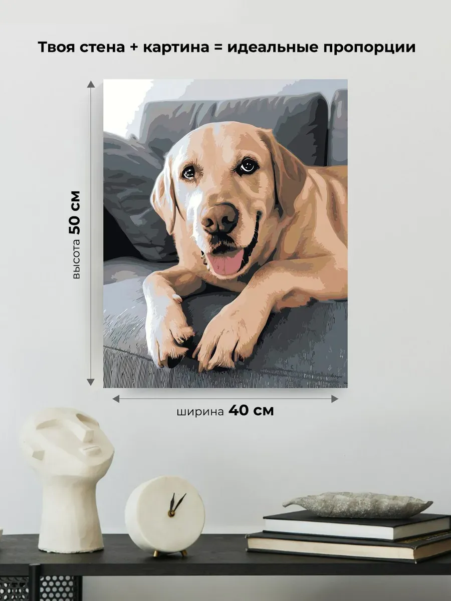 Картина по номерам Собака лабрадор ретривер на диване — картинка 3