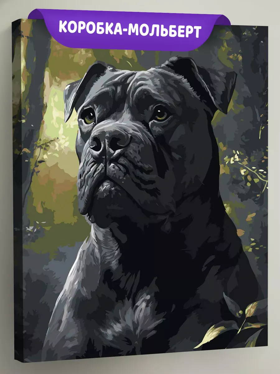 Картина по номерам Черная собака Кане Корсо в лесу