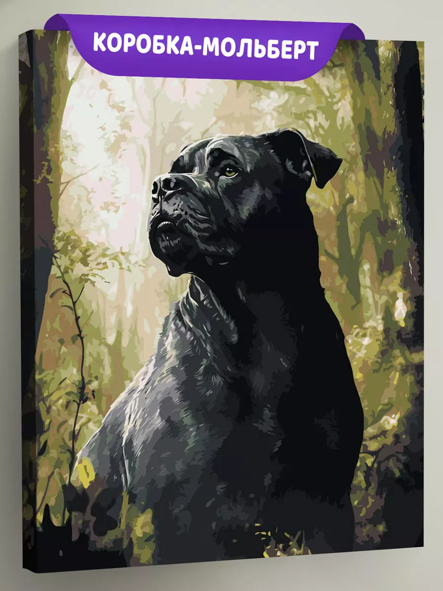Картина по номерам Черная собака Кане Корсо в лесу
