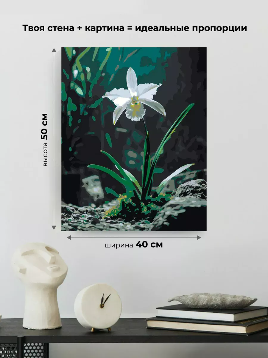 Картина по номерам Цветок белая тропическая орхидея — картинка 3
