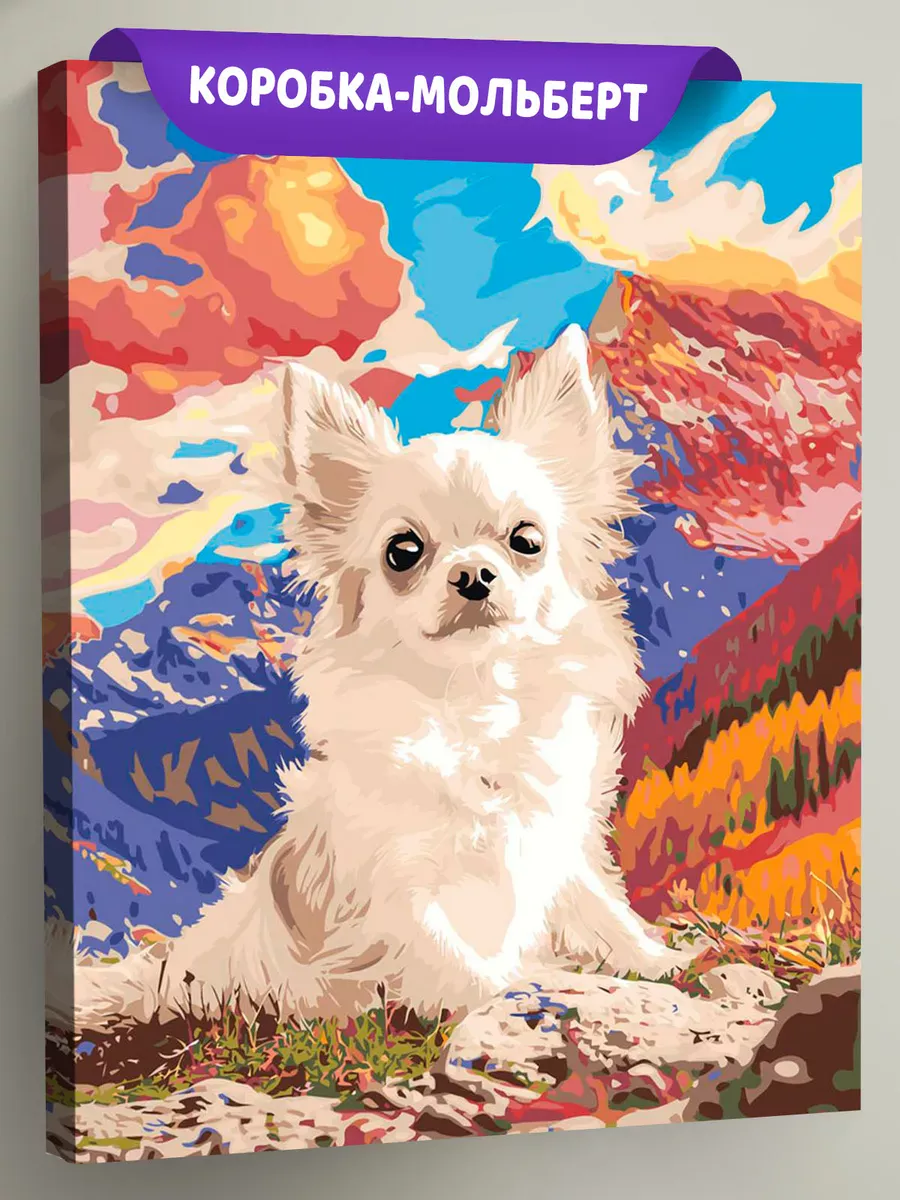 Картина по номерам Собака чихуахуа на фоне разноцветных гор