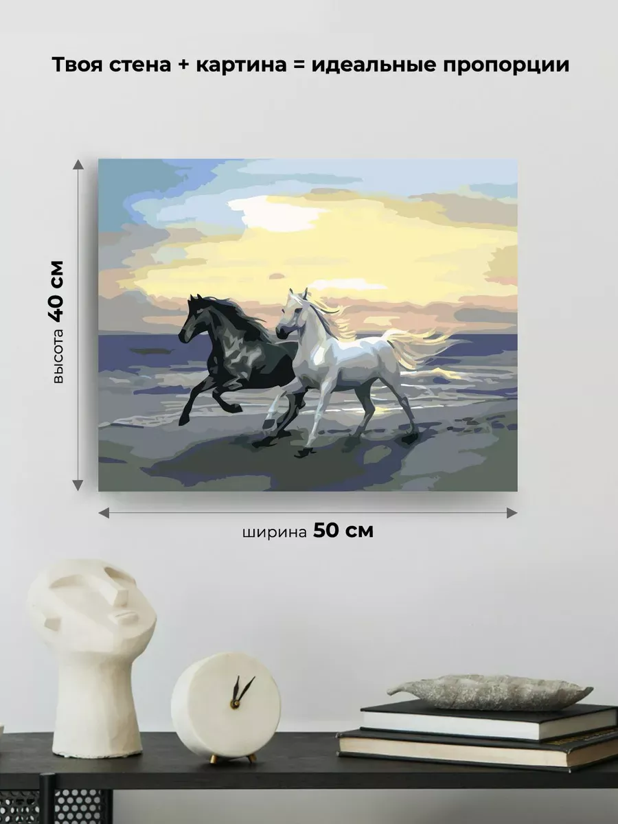 Картина по номерам «Чёрная и белая» — картинка 3