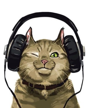 Картина по номерам «Кот и музыка» Картина по номерам «Кот и музыка»