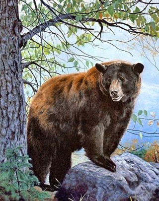 Алмазная вышивка «Бурый медведь» Алмазная вышивка «Бурый медведь»