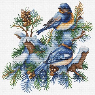 Набор для вышивания «Птицы-Зима»