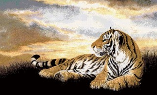 Набор для вышивания «Тигр на привале»
