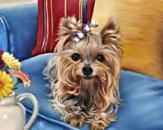 Картина по номерам «Маленьий йорк» Картина по номерам «Маленьий йорк»