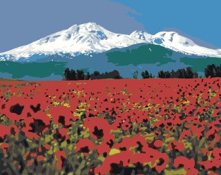 Картина по номерам «Армения: цветущие маки с видом на Арарат 2»