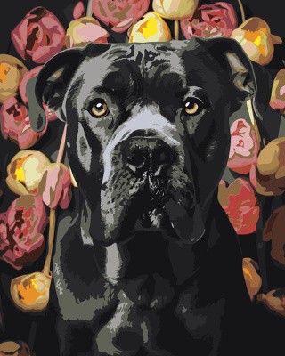 Картина по номерам «Собака Кане корсо в цветах 2»
