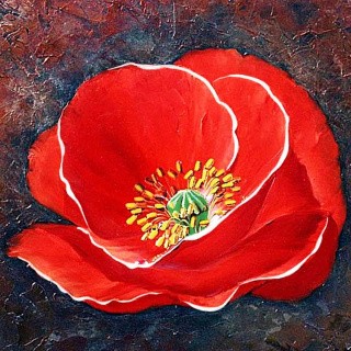 Алмазная вышивка «Яркий мак» Алмазная вышивка «Яркий мак»