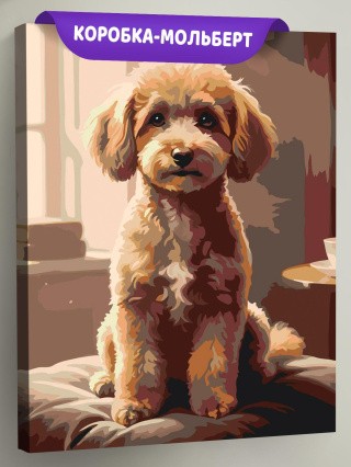 Картина по номерам Собака милый той пудель в комнате