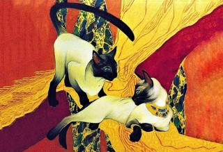 Алмазная вышивка «Сиамские кошки» Алмазная вышивка «Сиамские кошки»