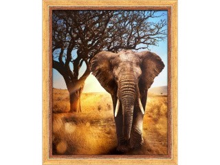 Алмазная вышивка «Африканский слон»