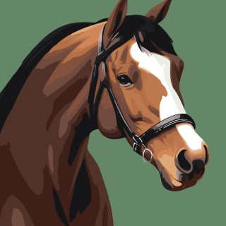 Картина по номерам «Лошадь на зеленом фоне»