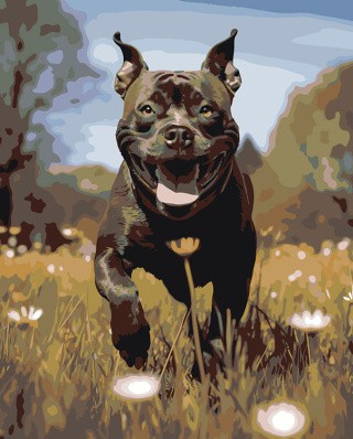 Картина по номерам «Собака Стаффорд (Стаффордширский терьер) 2»