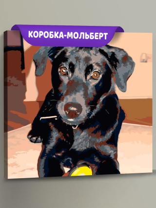 Картина по номерам «Черный пес»
