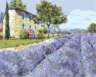 Картина по номерам «Лавандовое поле» Картина по номерам «Лавандовое поле»