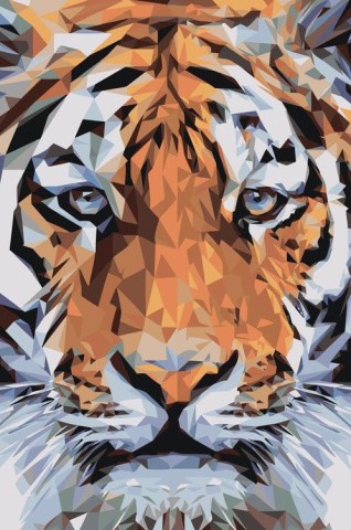 Картина по номерам «Взгляд тигра»
