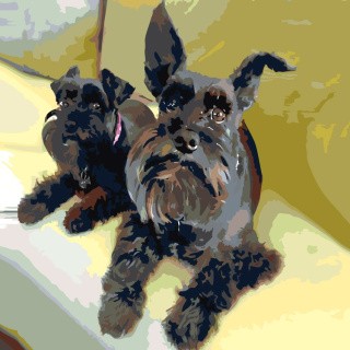 Картина по номерам «Черные красавцы» Картина по номерам «Черные красавцы»