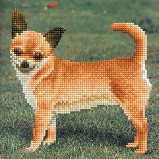 Алмазная вышивка «Чихуахуа» Алмазная вышивка «Чихуахуа»