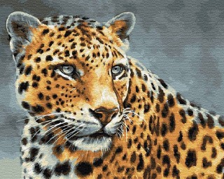 Картина по номерам «Красавец гепард»