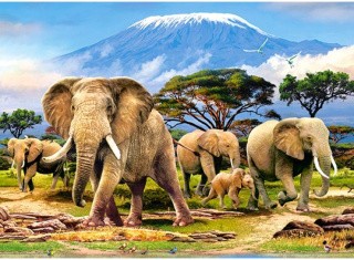 Пазлы «Утро в Килиманджаро»