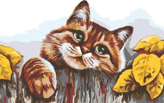 Картина по номерам «Деревенский кот»