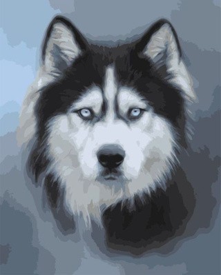 Картина по номерам «Хаски» Картина по номерам «Хаски»